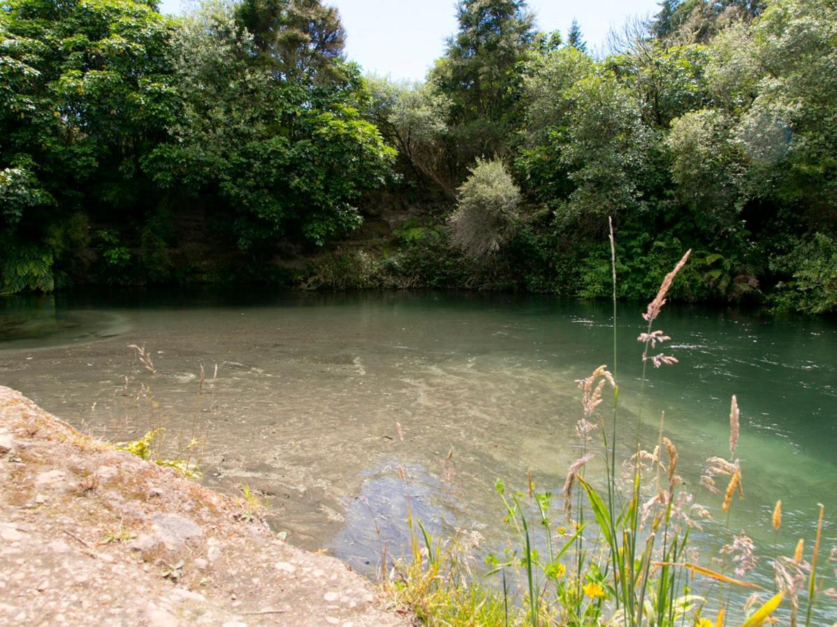 Bellbird Cottage - Lake Taupo Bach Waitahanui Εξωτερικό φωτογραφία