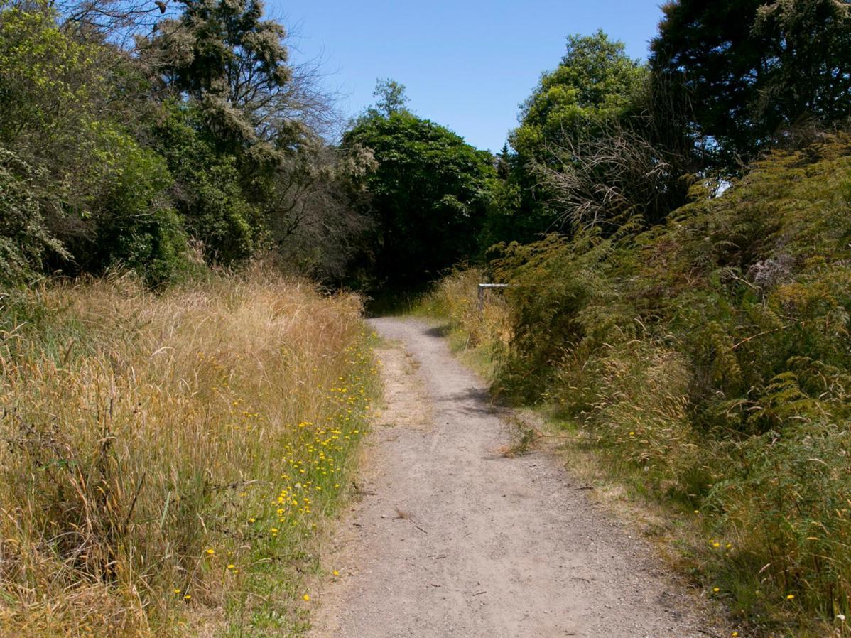 Bellbird Cottage - Lake Taupo Bach Waitahanui Εξωτερικό φωτογραφία